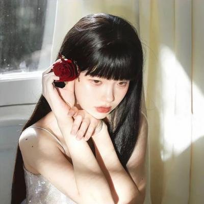 女记者的日记
